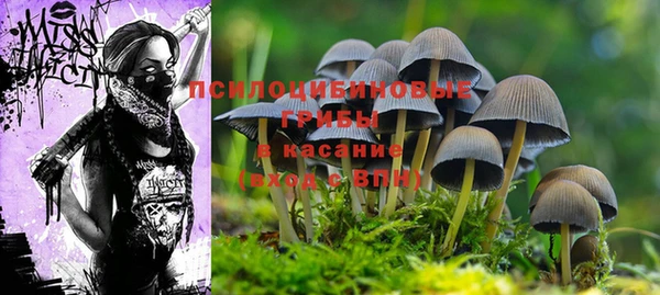 крисы Алексеевка