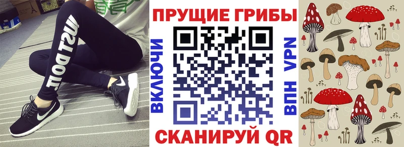 купить сайты Миньяр Галлюциногенные грибы ЛСД